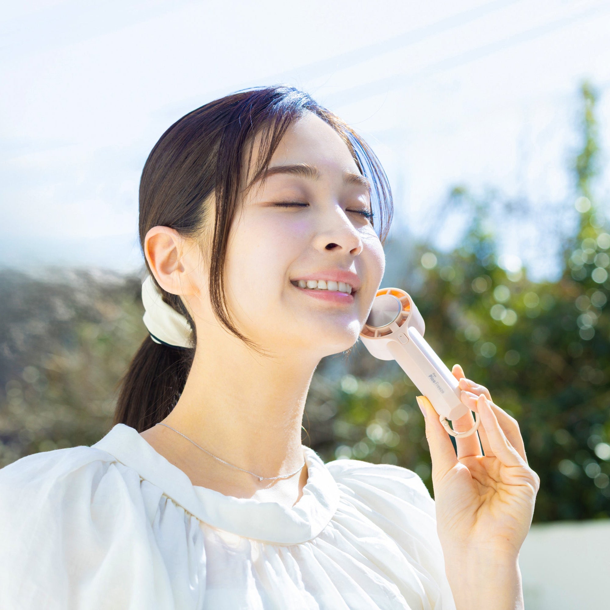 iFan Pico Freeze 25 アイファン ピコ フリーズ