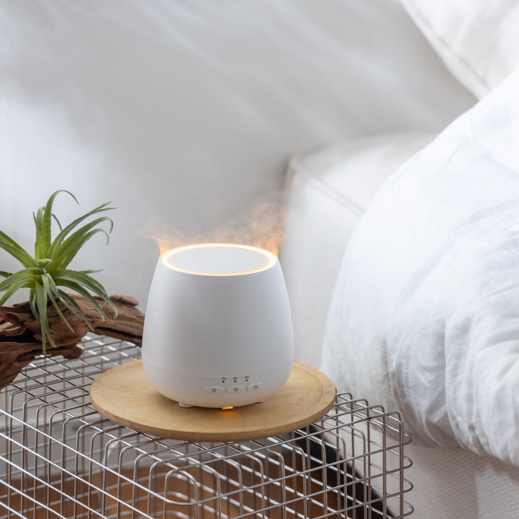 Aromist Flare 25 アロミストフレア