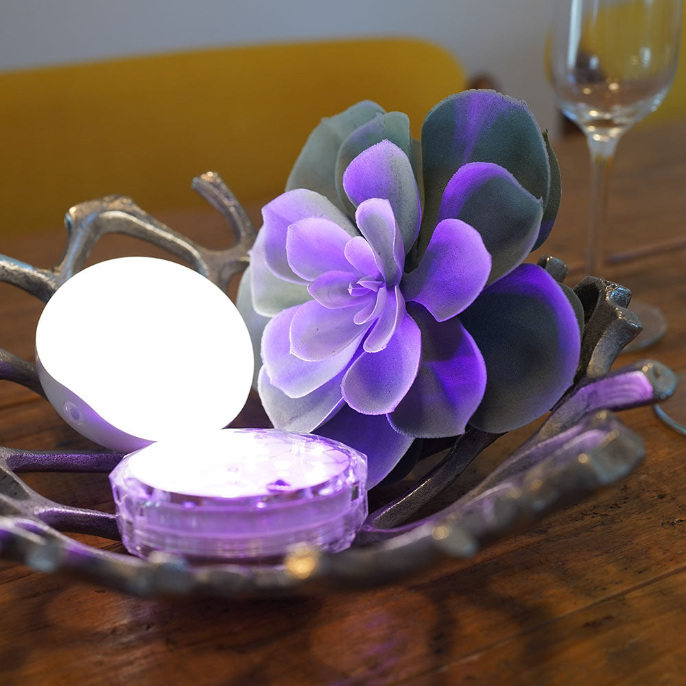 Aqua Light アクアライト