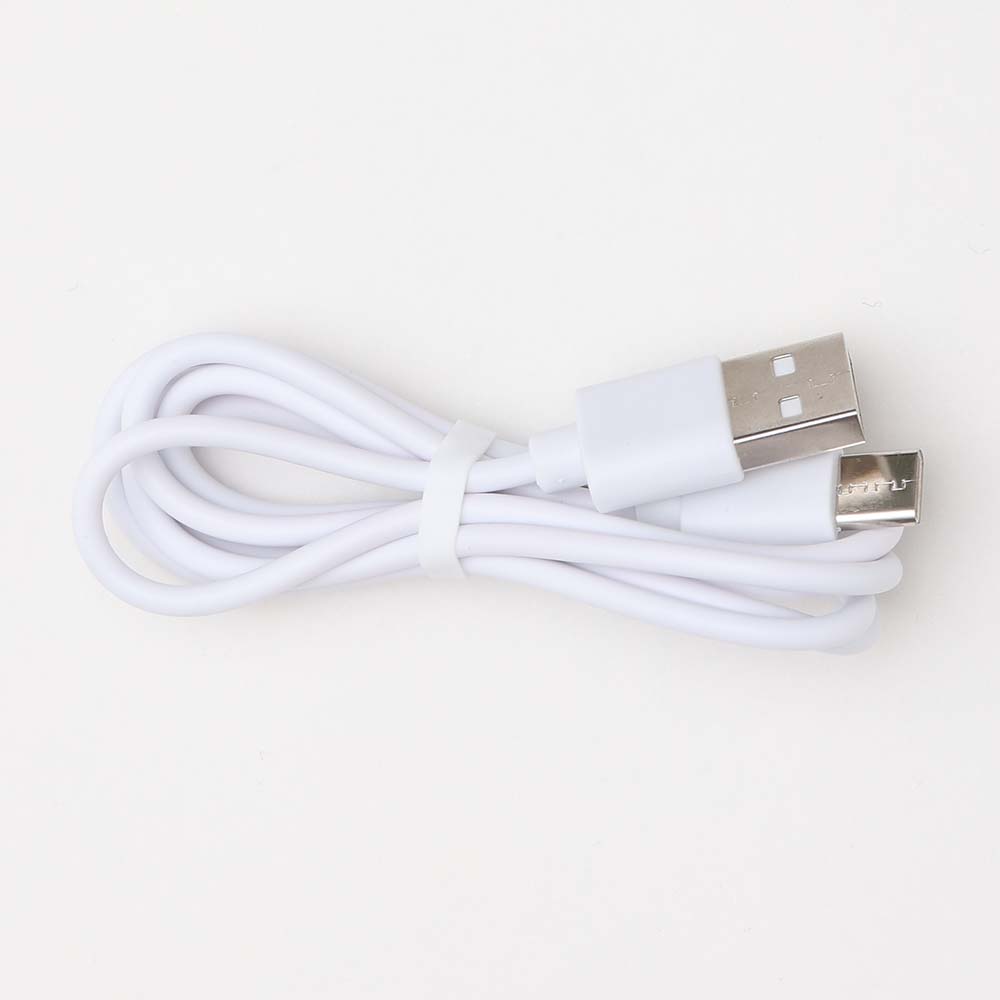 iFan CanFu アイファン カンフー 充電用USBケーブル